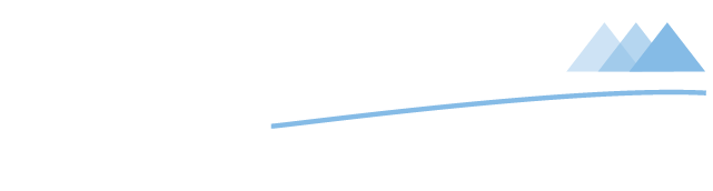 birk und fink logo